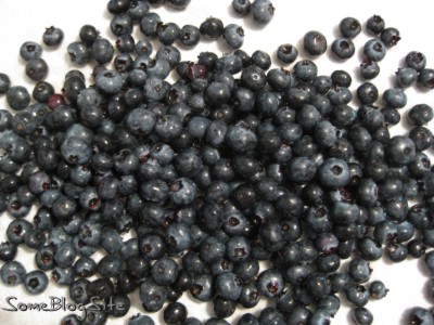 picture of a pile of freshly-picked blueberries