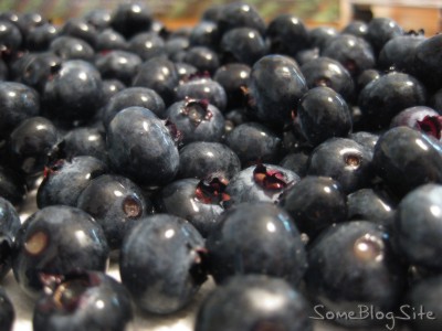picture of freshly-picked blueberries