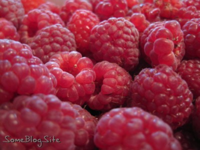 picture of freshly-picked raspberries