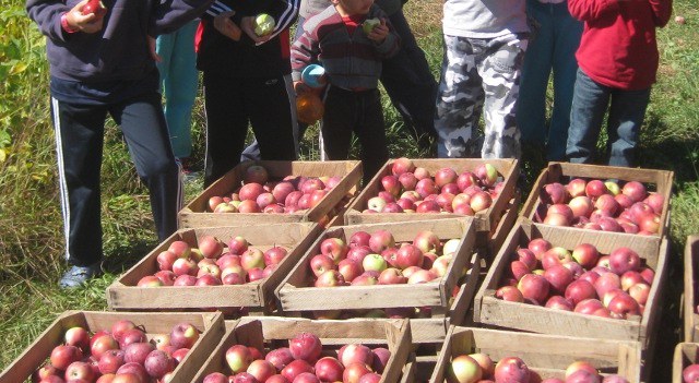 children standing in front of bins of apples at the apple orchard