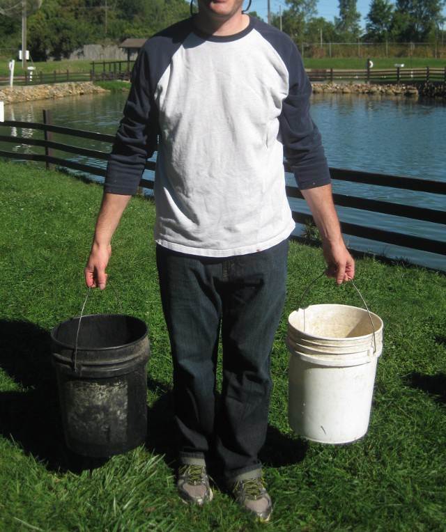 buckets at a trout farm fishing pond
