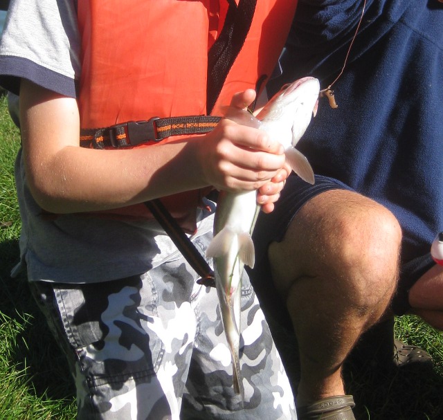 child holding a trout