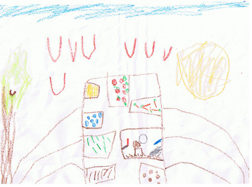child's crayon drawing of a garden