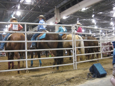 photo of rodeo horses lined by the fence