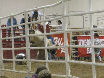 photo of bullriding at the rodeo