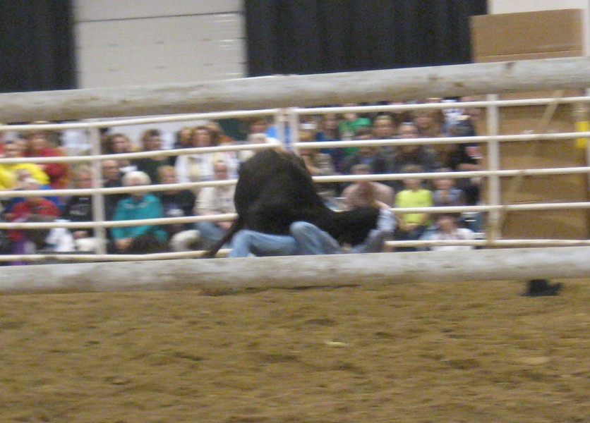 photo of rodeo cowboy tackling a bull