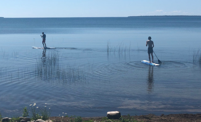 picture of boys paddleboarding