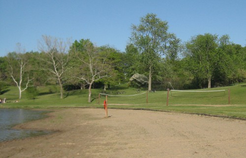 photo of the park at the local beach