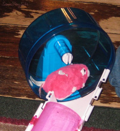 picture of a Zhu Zhu Pet hamster wheel