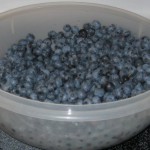 picture of a big container of blueberries