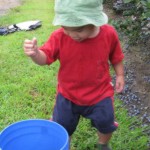 picture of a child picking blueberries