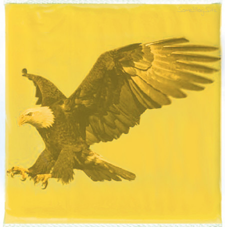 a slice of American cheese that shows a bald eagle.
