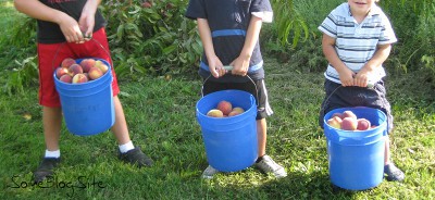 picture of children holding buckets of peaches