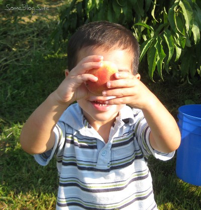 picture of a smiling child holding a peach