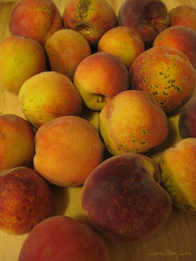 picture of fresh peaches