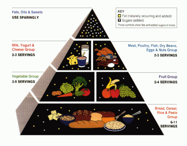 image of the standard USDA food pyramid