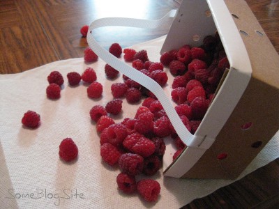 picture of fresh raspberries tumbling out of a box