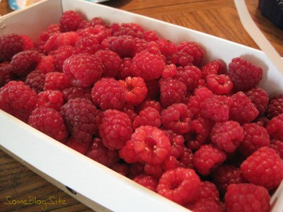 picture of a container of fresh raspberries