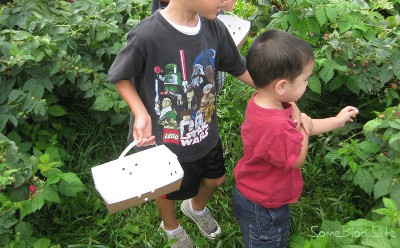 picture of children picking raspberries