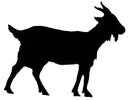 silhouette of a goat