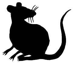 silhouette of a rat