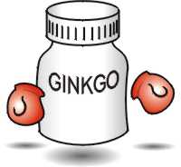 Ginkgo Balboa - the herbal boxer