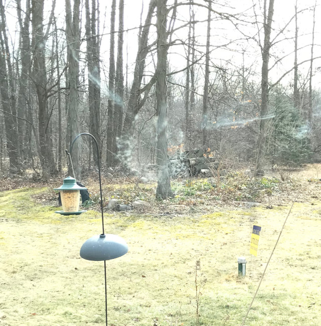 image of bird residue left on a window after running into it