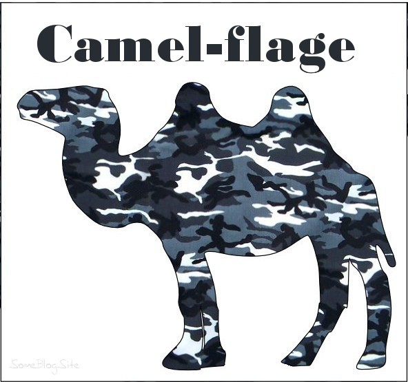 pun picture of camouflage camel to make something camel-flage