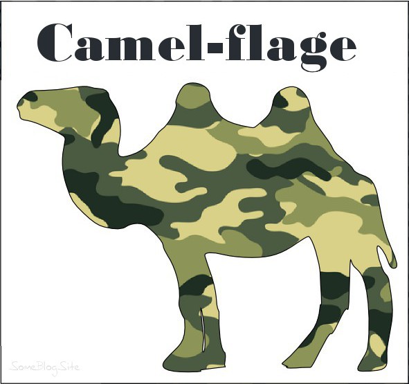 pun picture of camouflage camel to make something camel-flage