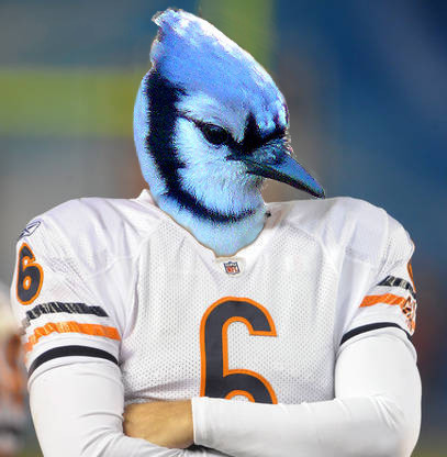 Jay Cutler combined with a blue jay to make a blue jay cutler