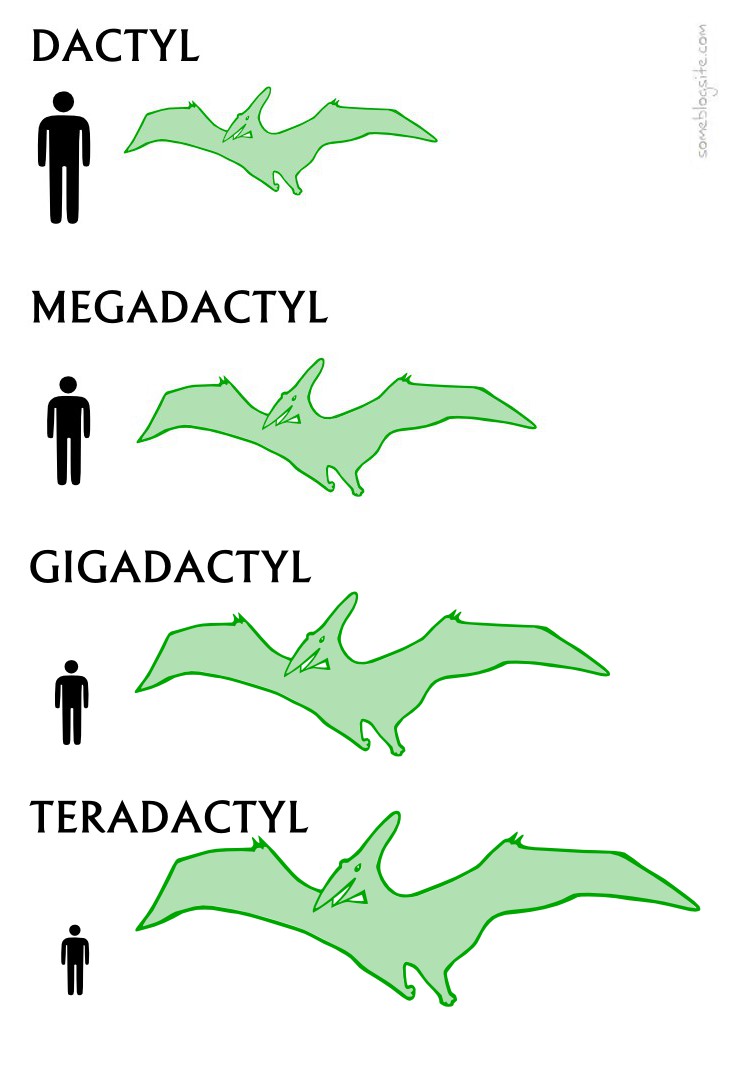 drawing showing dactyl, megadactyl, gigadactyl, and teradactyl instead of pterodactyl