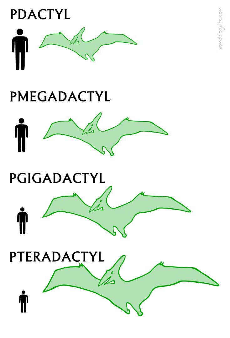 drawing showing pdactyl, pmegadactyl, pgigadactyl, and pteradactyl instead of pterodactyl