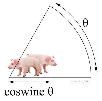 swine pun for cosine theta