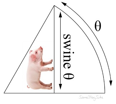 swine pun for sine theta