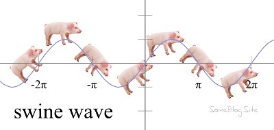 swine pun for sine wave