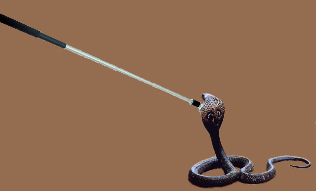 image of a selfie stick that is being used to grab a snake