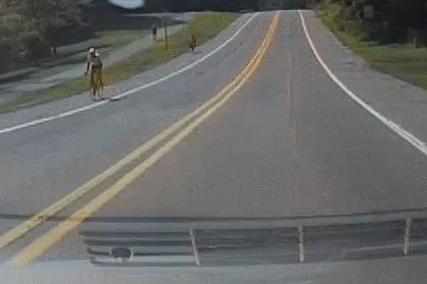 image of some bicyclists on the road and some bikers on the bike path