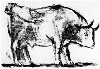 drawing of a bull