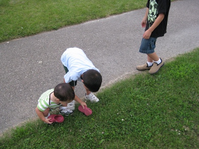 picture of boys looking at a caterpillar