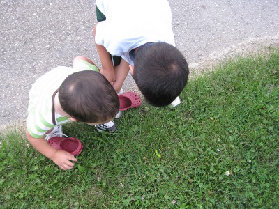 picture of boys looking at a caterpillar