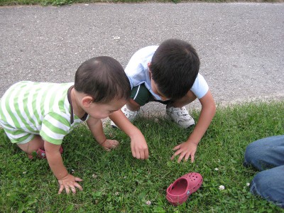 picture of boys picking up a caterpillar