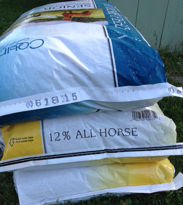 image of a bag of all horse feed