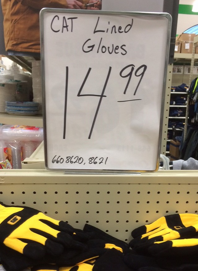 image of cat lined gloves