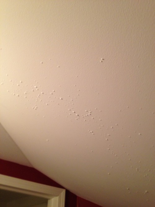 photo of shaving cream splattered on a white ceiling
