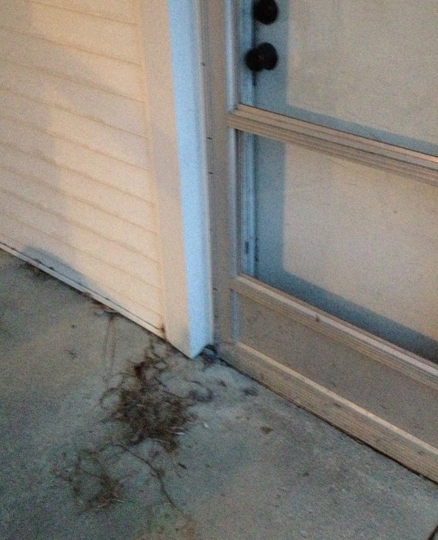 image of a mess outside a front door