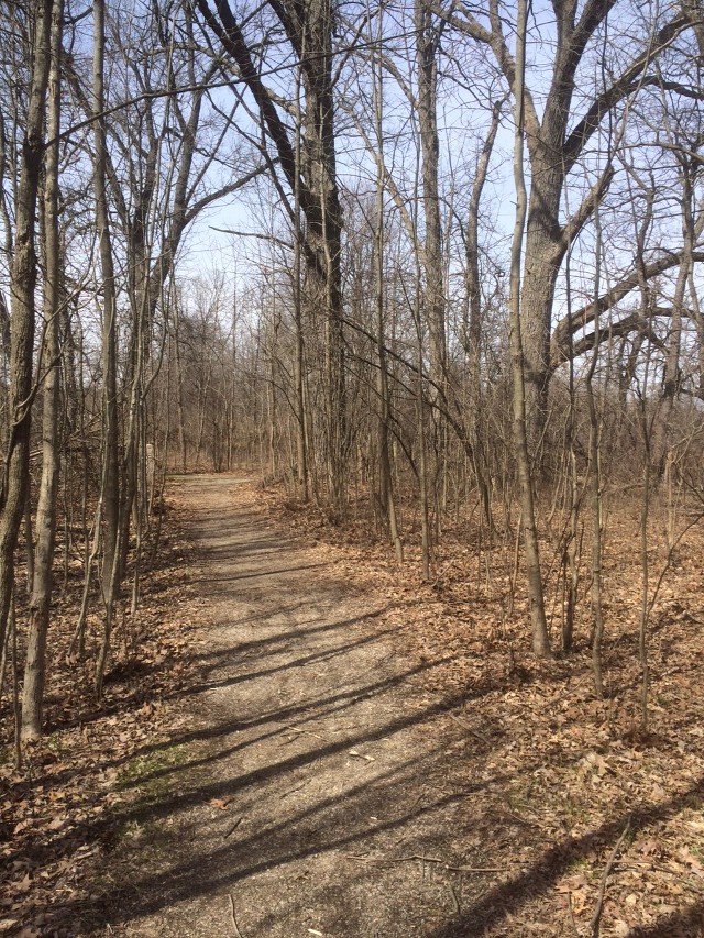 image of path at botanical gardens