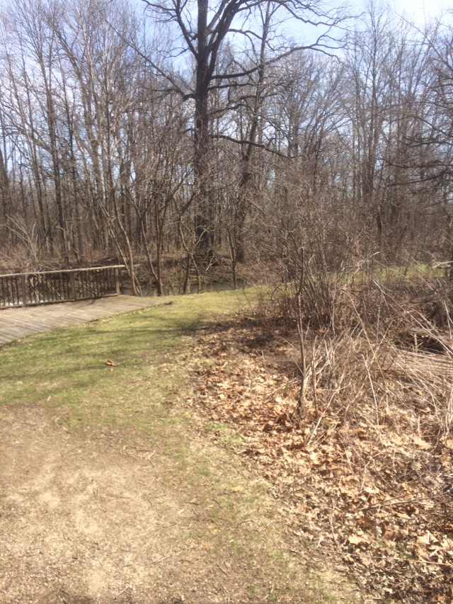 image of path at botanical gardens