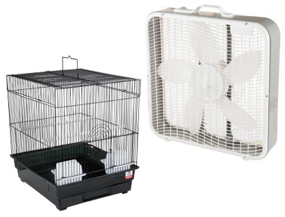 bird cage plus box fan for a flying treadmill