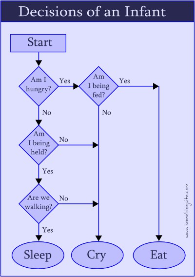 flowchart of an infant's decisions among sleeping, crying, and eating