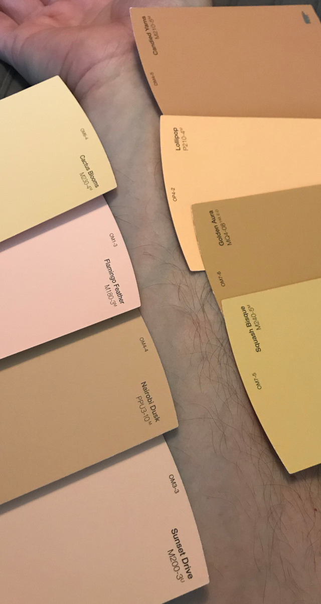 image of my skin tone compared to paint sample cards